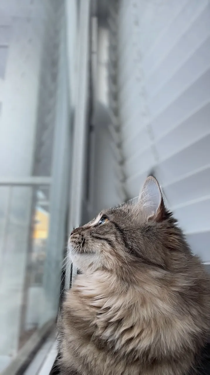 Lia looking out the window